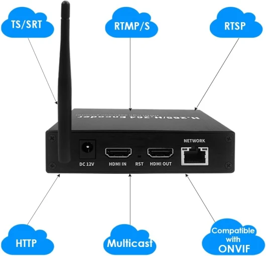 51j QZaNNmL._AC_SL1000_
