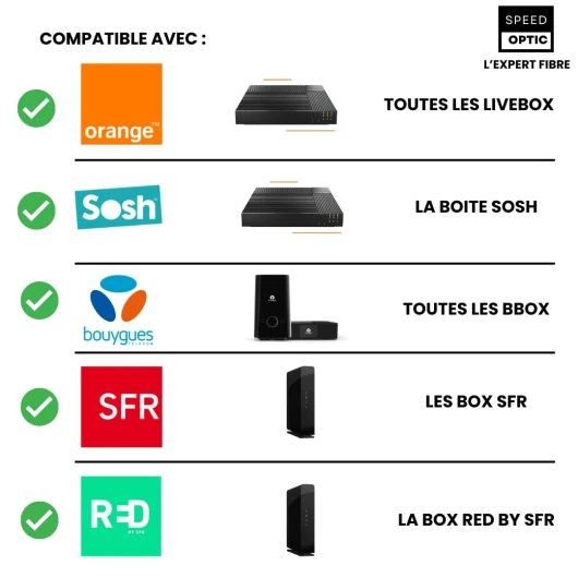 51n2yATtQ-L._SL1080_