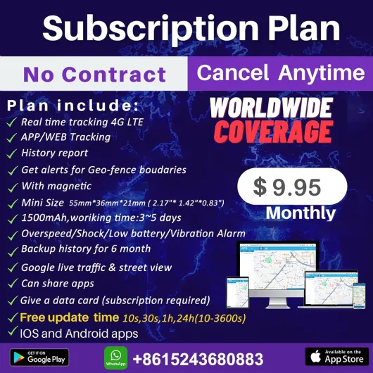 81vh1sjL-sL._AC_SL1500_