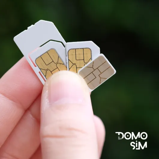 516 YZZBBmL._AC_SL1000_