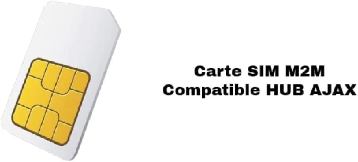 Carte SIM M2M 12 Mois Compatible Alarme AJAX sans Engagement