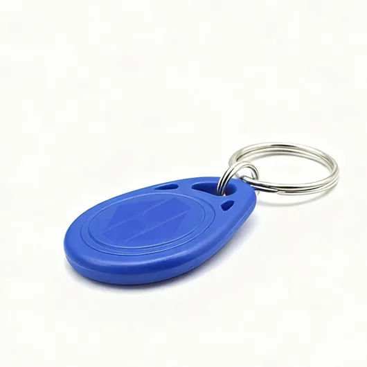 41Z-6acKYZL._AC_SL1000_