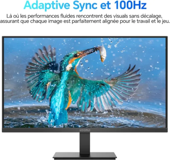 E2212F 21.45 Pouces Ecran PC, FHD 1920 x 1080 100Hz Moniteur, Adaptive Sync HDMI 1.4, Eye Care, inclinable de -5° à 15°, VESA 100 x 100mm 21.45 Pouces FHD/VA/100HZ