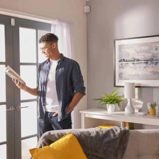 81HzStjogAL._AC_SL1500_