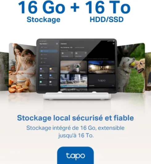 61PxkbF5luL._AC_SL1303_