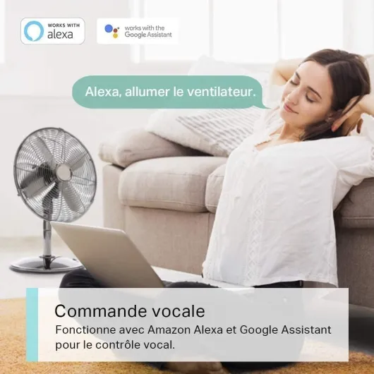 Prise Connectée WiFi, Prise Intelligente compatible avec Alexa et Google Home, 10A Type E, Contrôler le radiateur, la cafetière, la lampe à distance, aucun hub requis, Tapo P100(FR) 2 Pack 2 pack - Type E(FR)