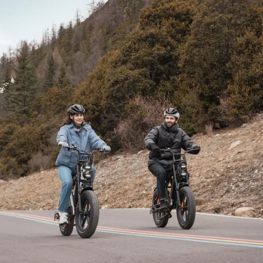 ENGWE E Bike Hommes Vélo électrique-Ebike avec Une Batterie/ 2 Batteries, E-Bike 20 * 4.0 Pouces Pneus Gras, Ebike Hommes jusqu'à 75km/150km/90km/170km, Vélo électrique 7 Vitesses, M20/M1 Noir Batterie Double