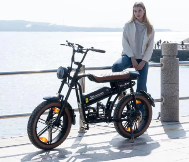 EVERCROSS Vélo Electrique pour Adultes, 16''/20" Vélo Electrique à Gros Pneus, 250W E Bike,Jusqu'à 25KM/H, 36V/48V Batterie Amovible, Vélo Tout-Terrain Electrique pour la Neige de Montagne EK30 Noir - Max 100KM