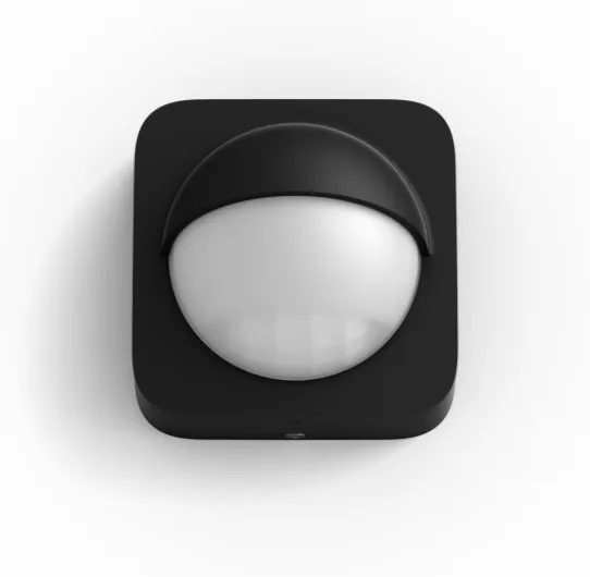 Philips Hue, capteur de Mouvement extérieur, Accessoire d'éclairage Intelligent pour Le contrôle de la lumière extérieure, sans Fil, Noir