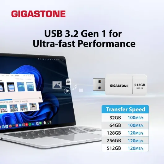 GIGASTONE 256Go Clé USB Flash (Lot de 5) Z60 USB 3.2 Gen 1, 100Mo/s Ultra Rapide, sans Capuchon, Stockage et Sauvegarde pour PC/Mac/TV/Voiture, USB 2.0/3.0/3.1 Compatible 256GB 5PK