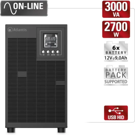 A03-OP3002P Pro Onduleur (UPS) Online Double Conversion et Pure sinusoïde avec Une Puissance de 3000VA 2700W, Tour d'affichage LCD, USB, RS-232 série, 4 Sorties IEC, Slot SNMP, 6x12V-9Ah