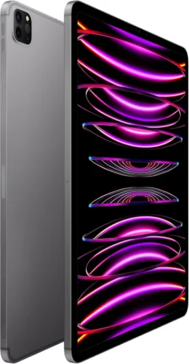 Apple 2022 iPad Pro (12.9-inch, Wi-FI + Cellular, 128GB) - Space Gray (Reconditionné) Wi-Fi+Cellular 128GB Gris Sidéral