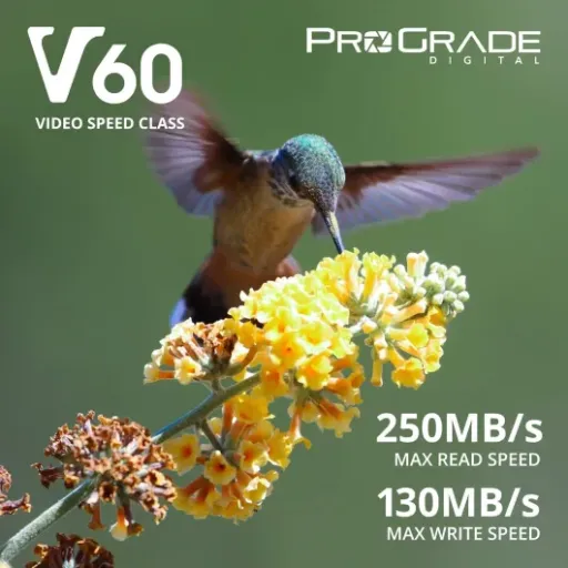 Test ProGrade Digital SD UHS-II 128Go V60 : la carte qui suit enfin le rythme de la 4K