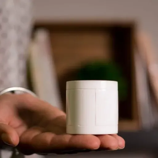 Test Somfy 2401490 : le détecteur de mouvement qui fait le job sans prise de tête (si vous êtes déjà chez Somfy)