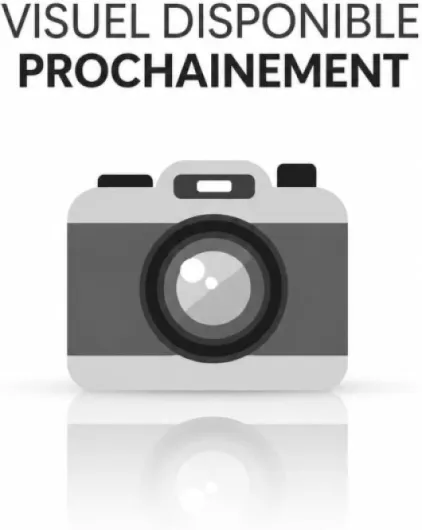 Potence de Pliage 500CT UrbanGlide – Pièce détachée trottinette électrique originale