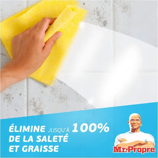 Mr - Propre Spray Nettoyant Multi-Usages, Grand Format (800ml x10), Parfum Eucalyptus avec du Bicarbonate de Soude, Élimine Jusqu’à 99.99% De La Saleté Et La Graisse Brûlée, Sans Résidus M.Propre spray tradition bicarbonate 800ml