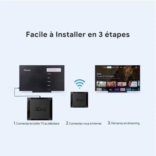 X96‎‎‎‎‎‎‎‎‎‎‎‎‎‎‎‎‎‎‎‎Q Boîtier IPTV Android TV Box, Android10.0 2GB/16GB Mini Smart TV Box Allwinner H313 Quad Core WiFi,4K HD,100M LAN Enternet 2.4G H.265 Lecteur Multimédia - Smarters Pro