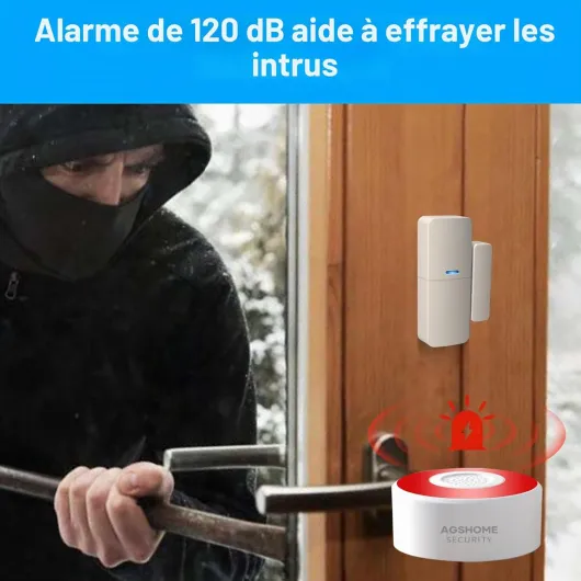 71NMkonWjdL._AC_SL1500_