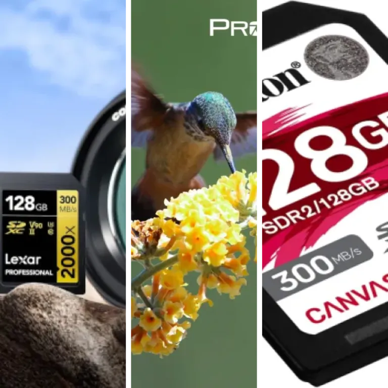 Les meilleurs cartes SD/microSD : notre top 3 (2026)