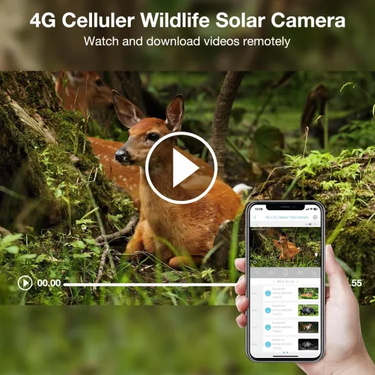 Camera de Chasse 4G et Carte Sim,2K Camera Exterieur sans Fil avec Panneau Solaire et Batterie,Détection PIR,Vision Nocturne Colorée,Audio Bidirectionnel,Étanche IP66,360° PTZ,sans WiFi