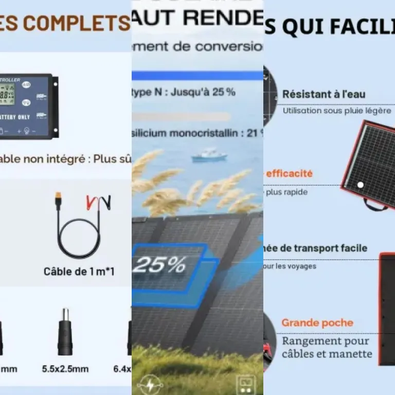 Les 5 meilleurs panneaux solaires (juillet 2026)